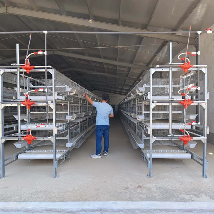 Fully automatic H type chicken layer cage for layers poultry farming chicken battery cages poultry farm