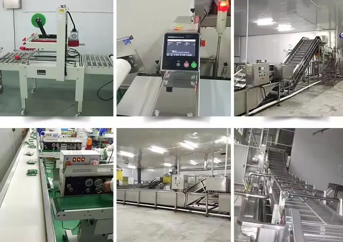 Factory Price Top Quality Potato Wholesale Good food Grade fresh potato Hot Sale New Crop Potato Price