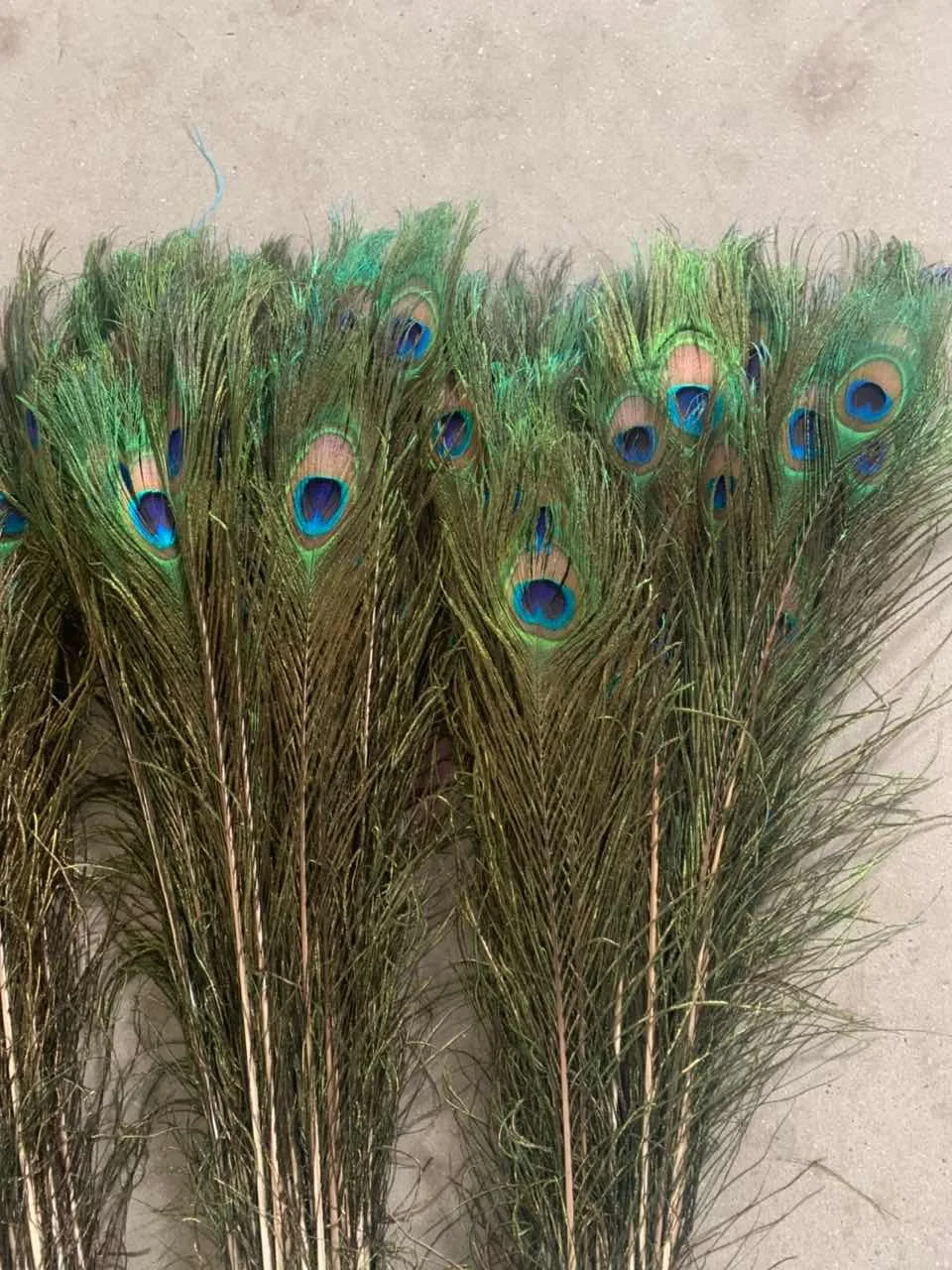 Dyed 80cm large craft natural white real red Blue india wing tail peacock feather for Cheap sale Floral Vase Home Decor Party