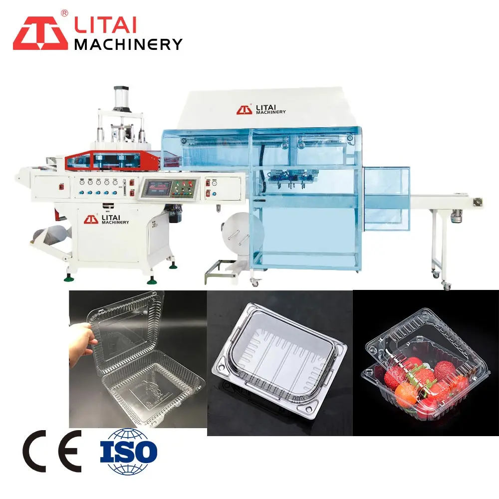 Vacuum Plastic Thermoforming Machine For Fruit Tray