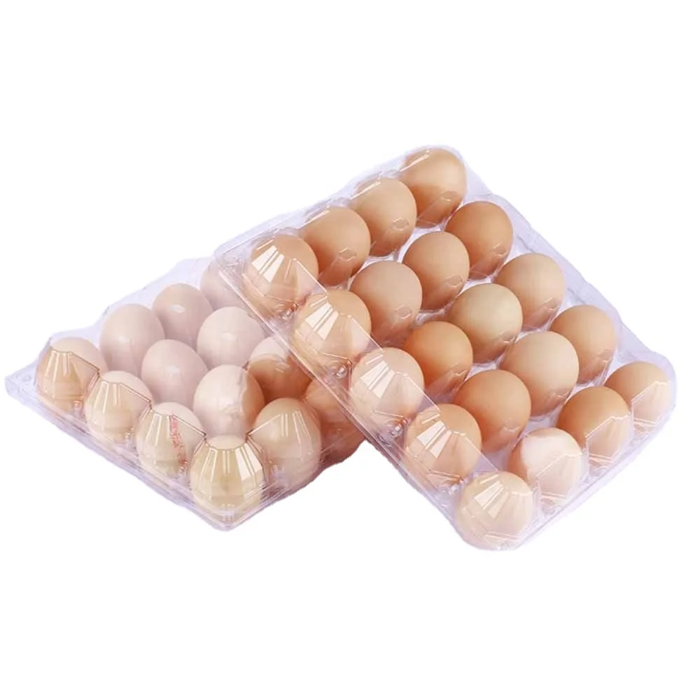 
Factory Price Disposable RPET/PET Clear Blister Plastic Chicken Egg Packing Box Big Egg Tray For Supermarkets 