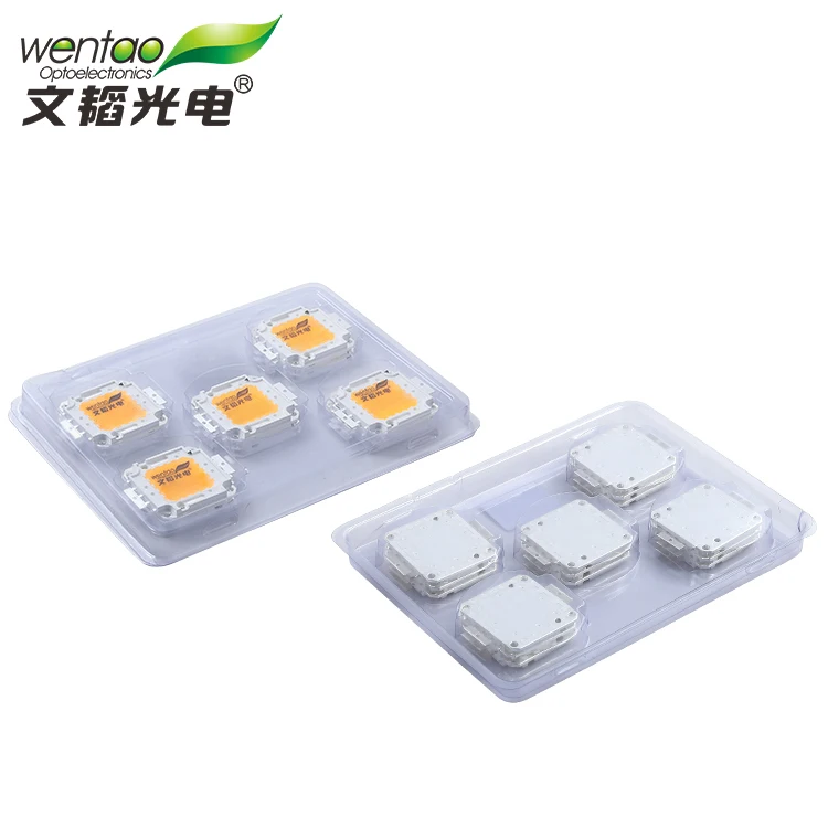 Epistar High Lumen Integrated 30W 50W 100W COB High Power Led Lamp Beads