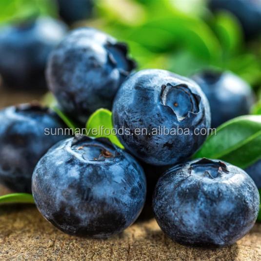 Cultivated/Cultivating/Organic/Wild Factory supply Frozen buleberries from China