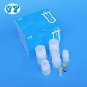 magnetic bead  Nucleic acid extraction kits RNA Isolation DNA purification  lab reagent