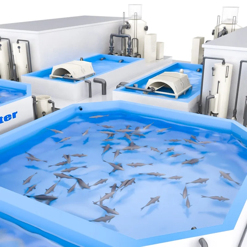 Коммерческое оборудование для аквакультуры Tilapia 180 м3 рыбоводства система выращивания тилапии Ras