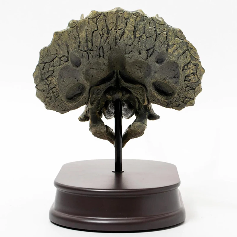 Индивидуальный Скелет динозавр трехмерный череп украшение головы животного