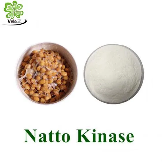 Organic Natto Extract Nattokinase Powder Nattokinase extract