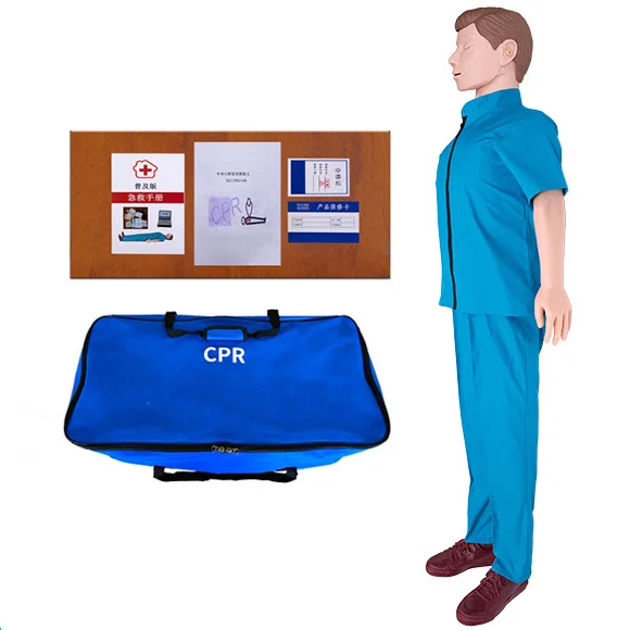 Medical science  training model and  Full body CPR  Training Manikin  model