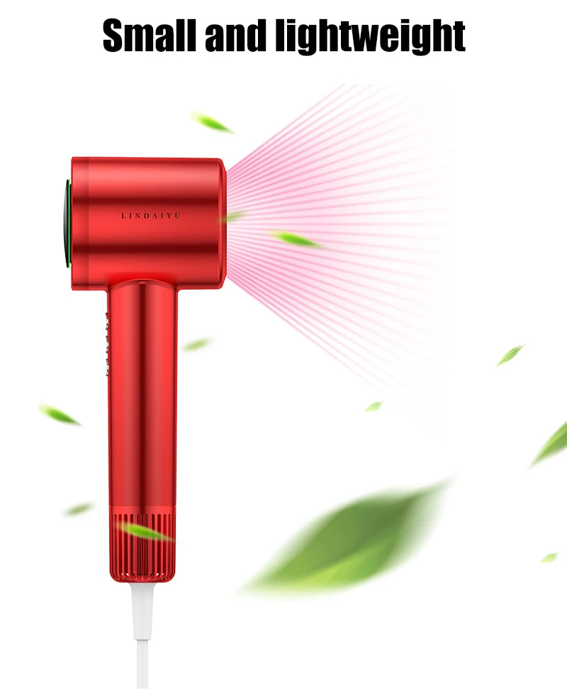 LDY Professional Hair Dryers Constant Temperature Concentrator Nozzle 4-gear Temp Cold/hot Air Hand Dryer for Hair Electric