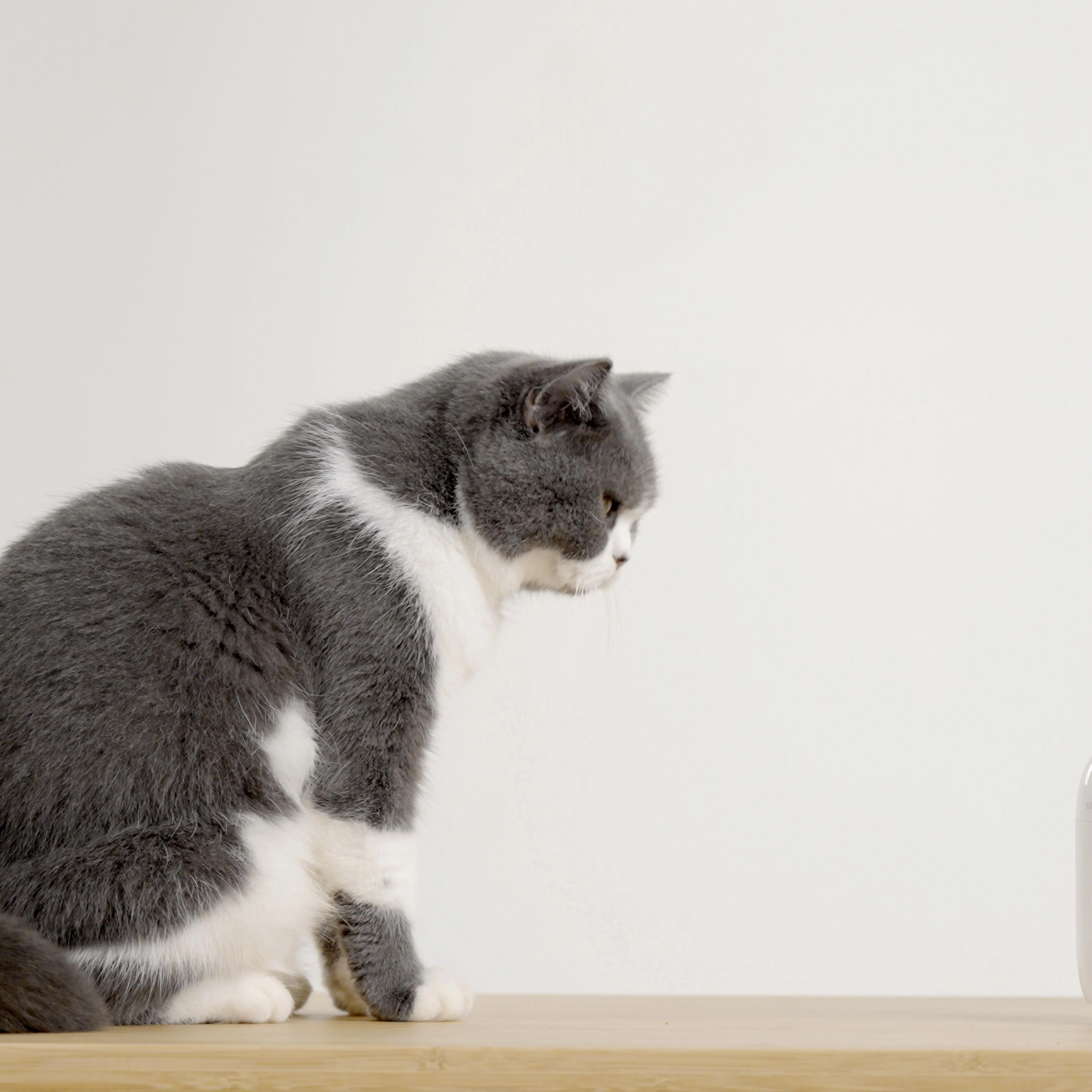 Endoscope Camera Novelty Gifts Care Innovative Unique Health Ear Cleaner Wifi HD Veterinary Camera Dog Cat