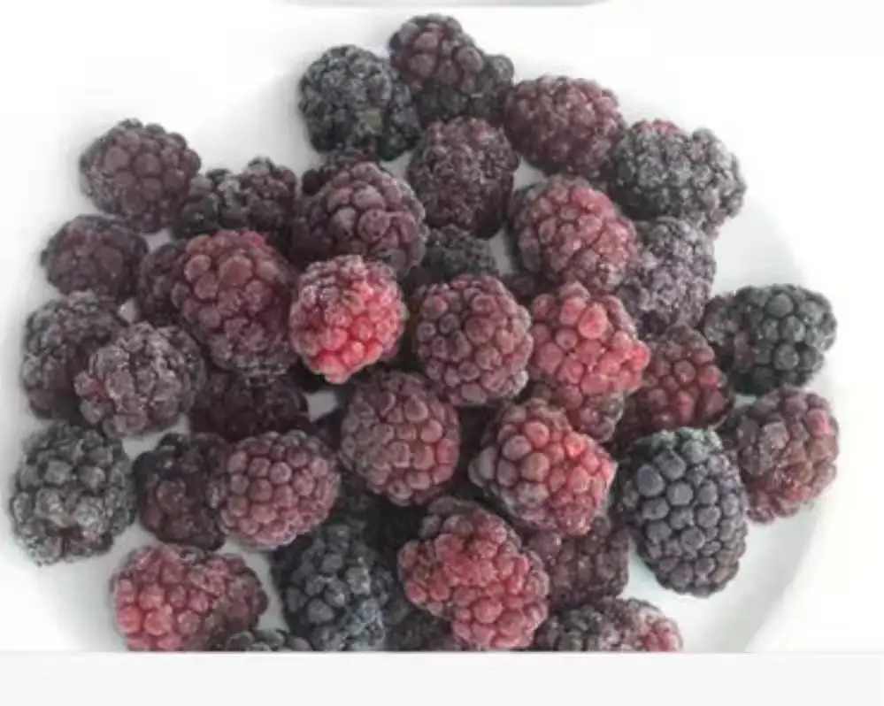 low price Chinese  IQF frozen blackberry with high quality
