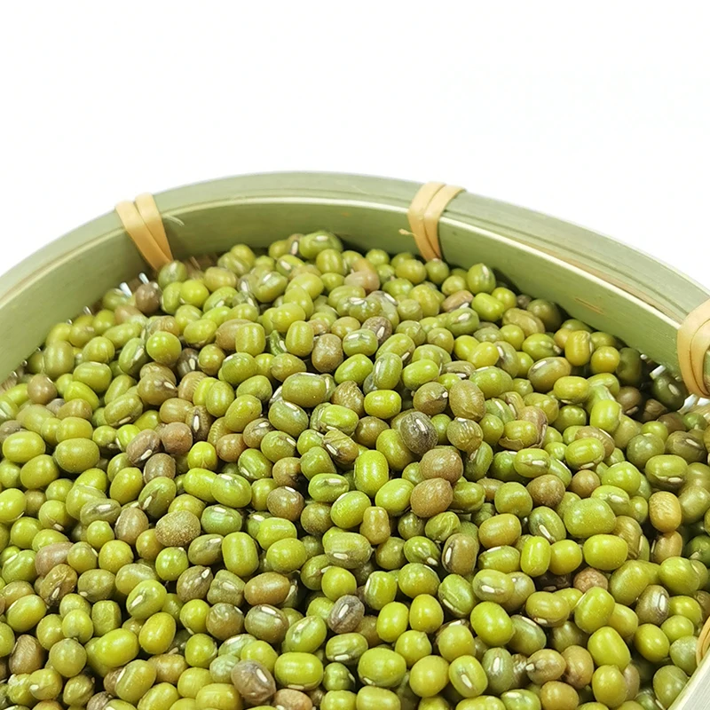 Premium Quality Whole Green Mung Bean Shelled Green Beans