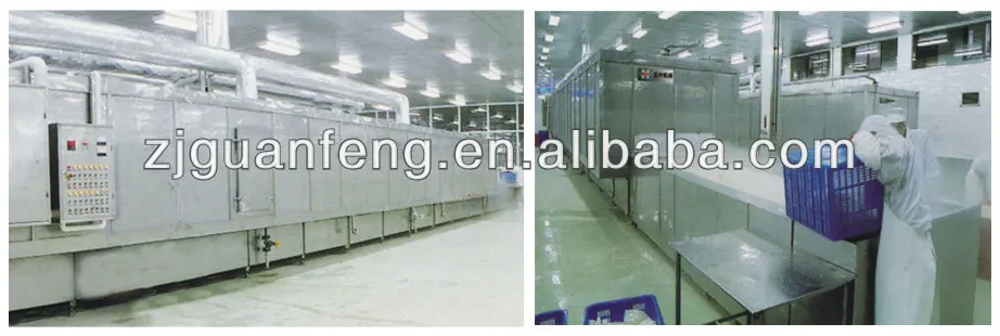 Professional Tunnel Quick Freezing Fluidized IQF Freezers Freezing Frozen Food Machine