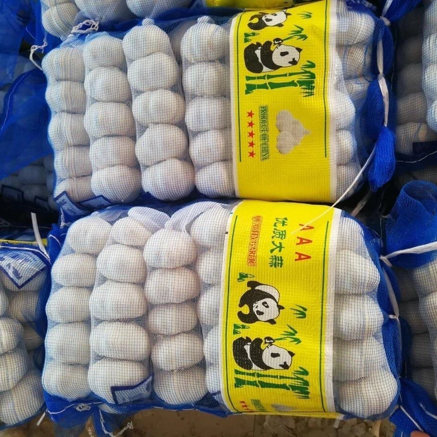 
2021 New Crop Normal White Garlic ship by 1x40fcl reefer container Garlic sizes 4.5cm, 5.0cm, 5.5cm, 6.0cm 