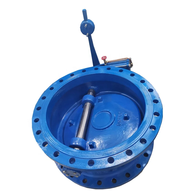 Flange check valve with Hydraulic and hammer  DN700