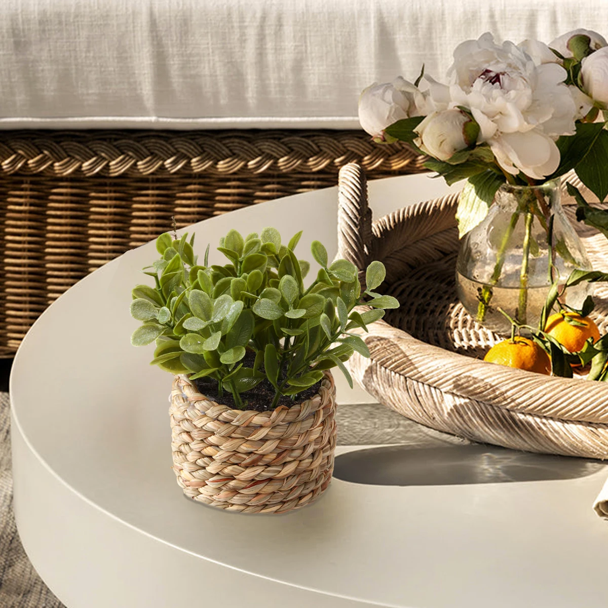 H202450 Hot Sale Mini Bonsai Crafts Mini Succulent Plant Models Artificial Succulent Ornament Artificial Plant in Pot