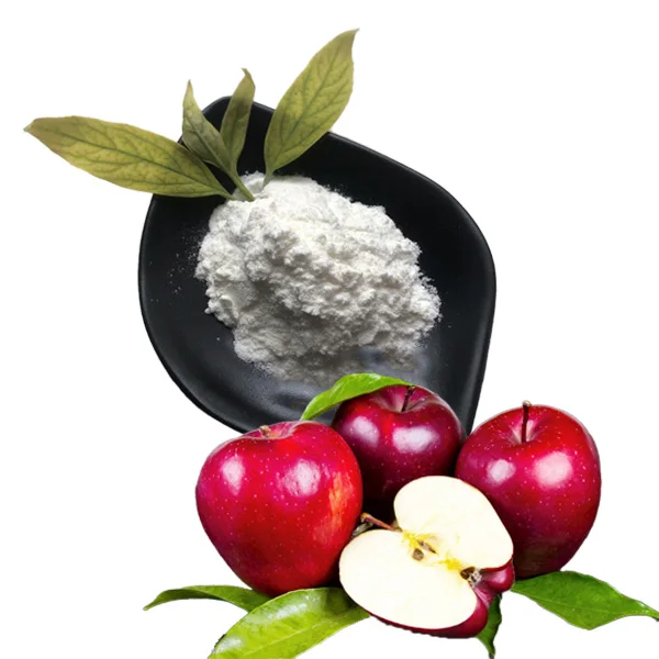 Private Label Organic Hala Apple Extract Apple Vinegar Powder Apple Cider Vinegar Powder