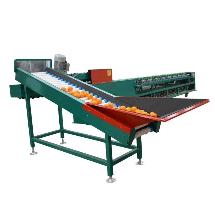 Automatic tomato sorting equipment / counting fruit selecting classifying machine for kiwifruit orange avocado
