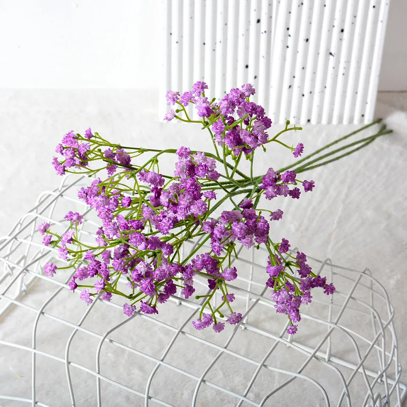 Gypsophila flower7