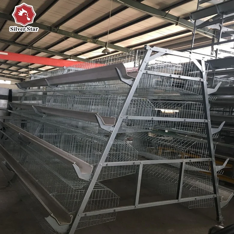 Easy management & maintenance a type ladder layer chicken cages equipments.jpg