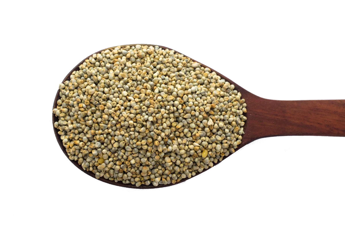 
GREEN MILLET ORIGIN INDIA FROM NIK-MAY EXPORTS LLP 