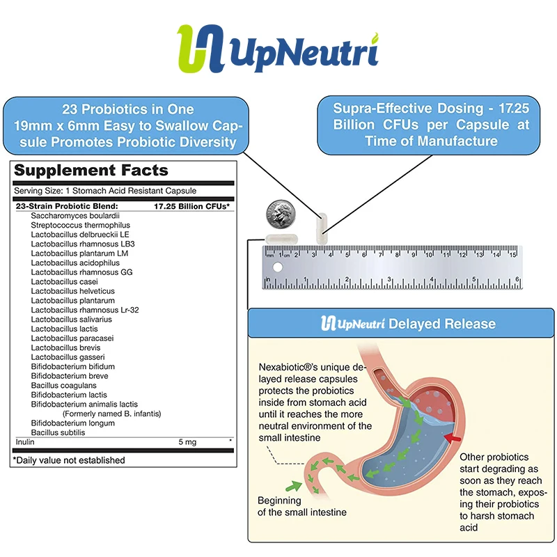 Probiotics Lactobacillus Acidophilus, Bifidobacterium Infantis 60 billion CFU Probiotics capsules OEM/ODM Private Label