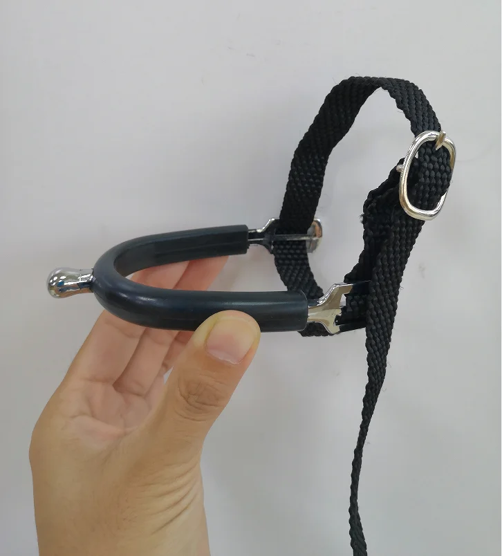 Horshi Hot Sale 15 MM Zinc Alloy Knob End Children Spurs English Horse Riding Spurs with 1 Pair Nylon Spur Straps