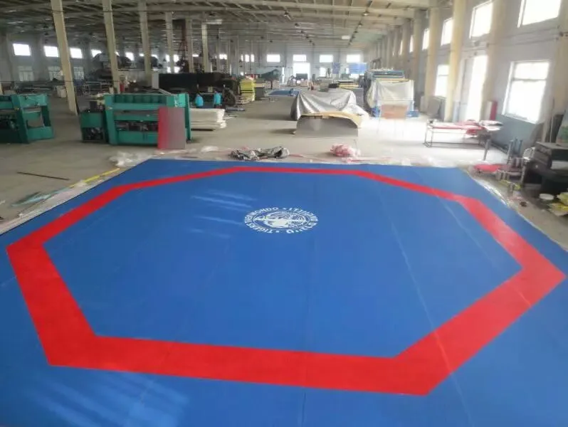 12m*12m*2.5cm taekwondo roll mat for sale