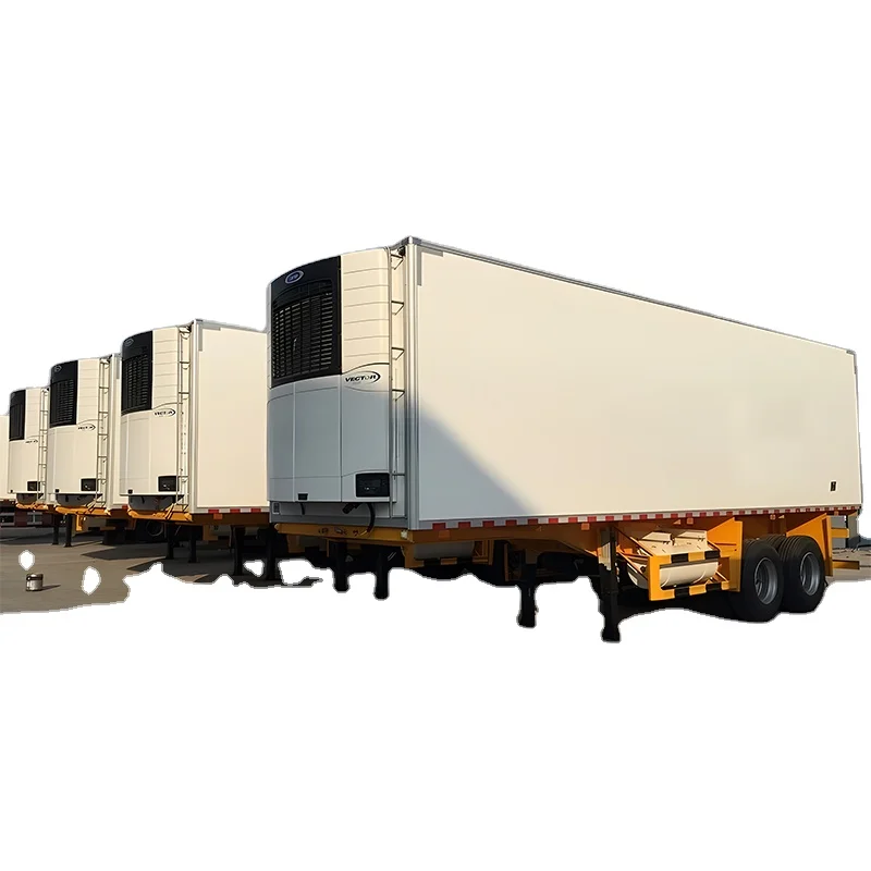 40 Ft Steel Reefer Shipping Container Refrigerator 40 Ft Reefer Van in the Philippines Semi-Trailer Type