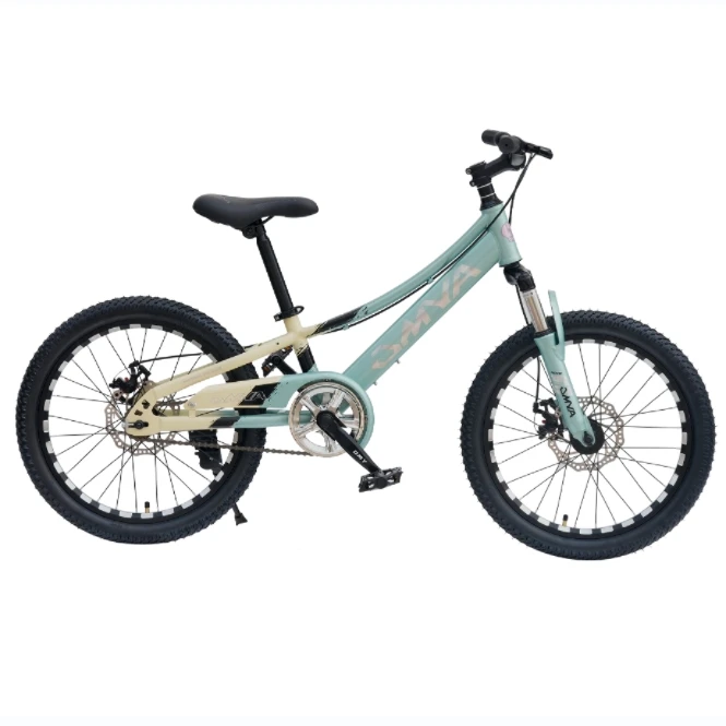 Magnesium alloy auxiliary steel Kids Bicycle for 4 years old children