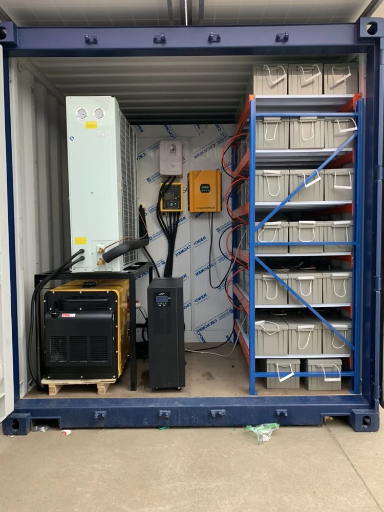 Cold Storage Solar Powered Industrial For Meat Vegetable Fish and Fruit Storage Walk in Freezer Solar Cold Room Freezer