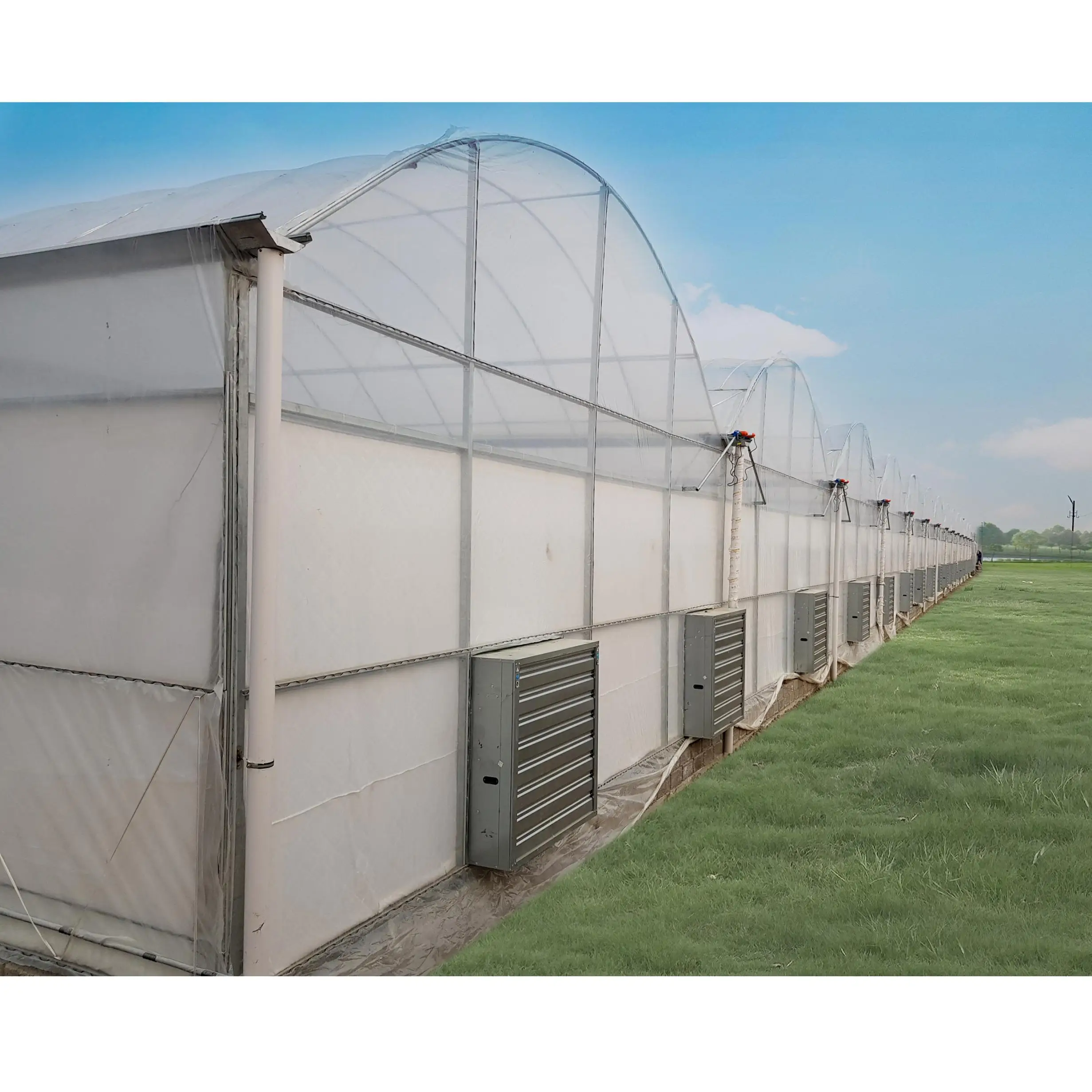Multi Span  Greenhouse Plastic Film  Agricultural Greenhouse With Hydroponic Systems Tomato Green House