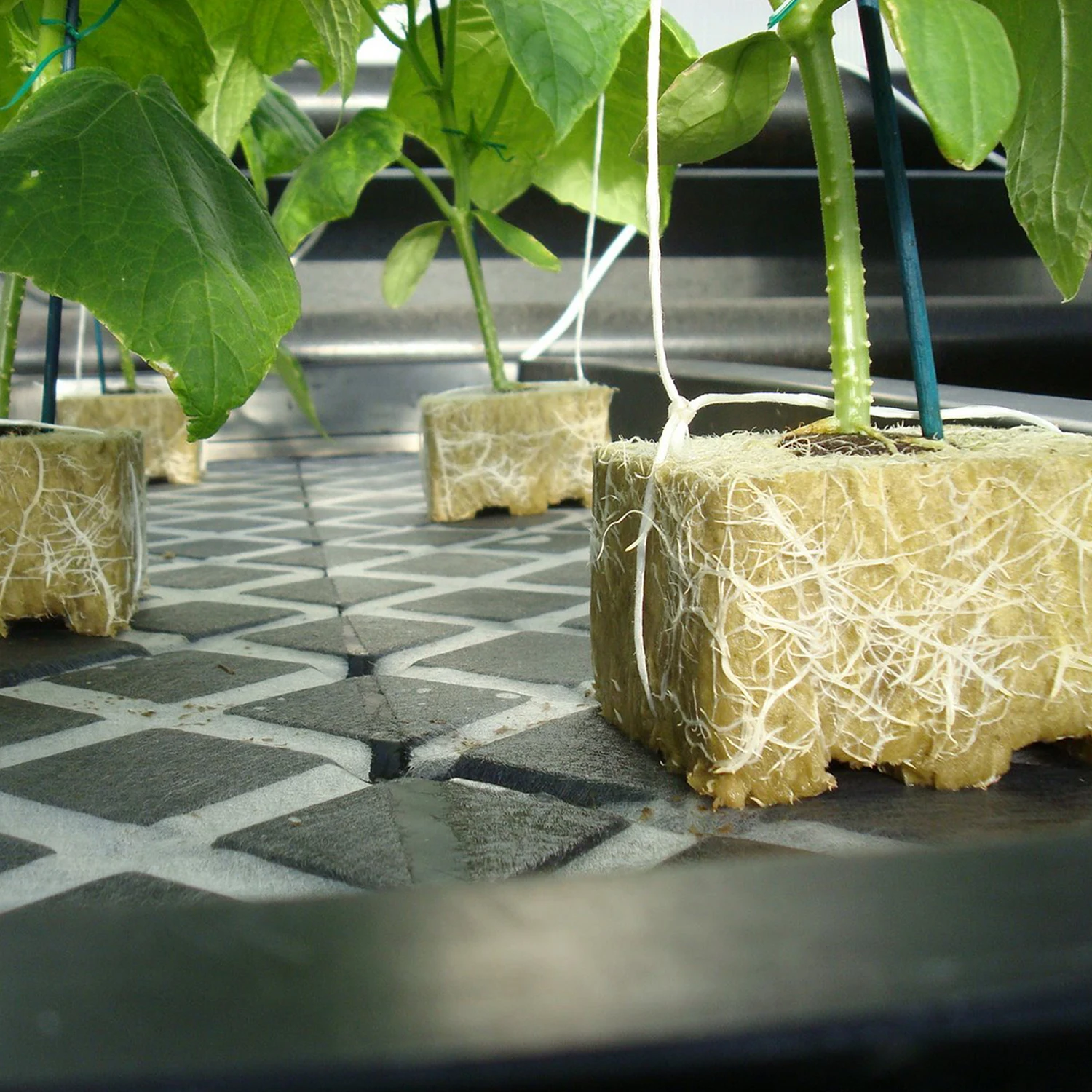 2024 Hydroponic Substrate Hemp Growing Soil Stone Wool