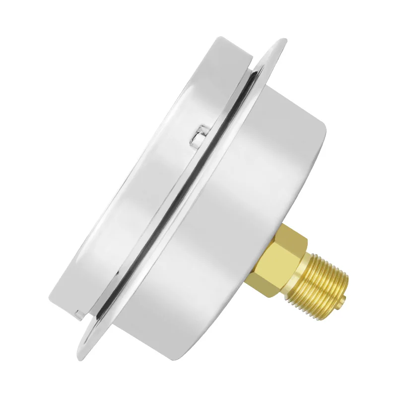 Factory hot seal 600mbar 100mm diaphragm type 304ss stainless steel back with flange capsule pressure gauge