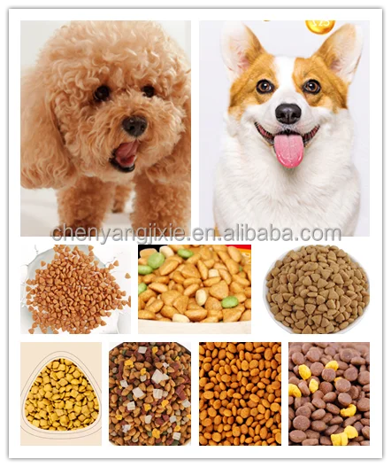 Jinan Chenyang Dog Snacks Machine Dog Food Extruder extruded dry pet food production line