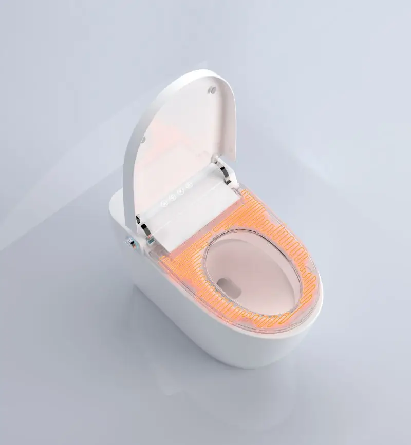 WC Intelligent Toilet with Heated Seat and Female Washing Function Smart Bidet Floor Mounted Remote Control Included