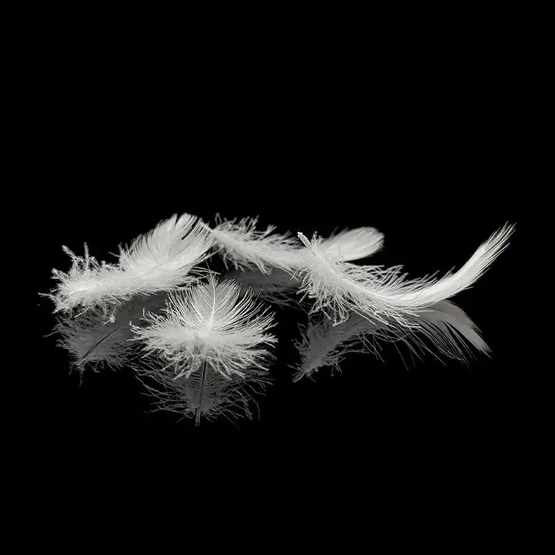  Washing Down Goose Feather Competitive Factory Price High