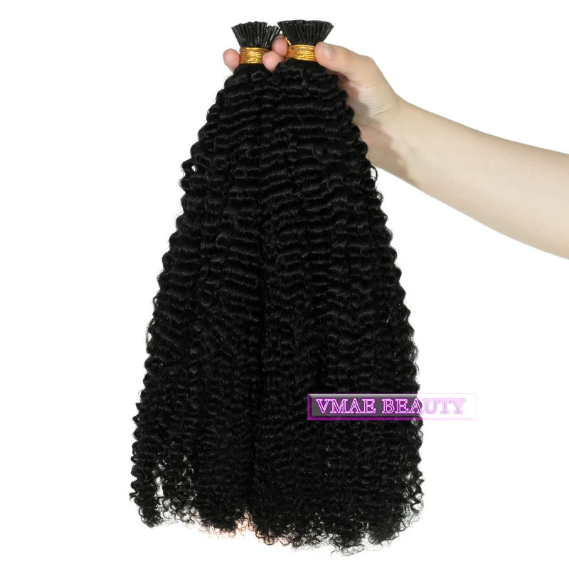 VMAE Wholesale Unprocessed Virgin Hair 100g 1g per strand NC 4A 4B 4C Afro Kinky Curly Vietnamese I Tip Human Hair Extensions
