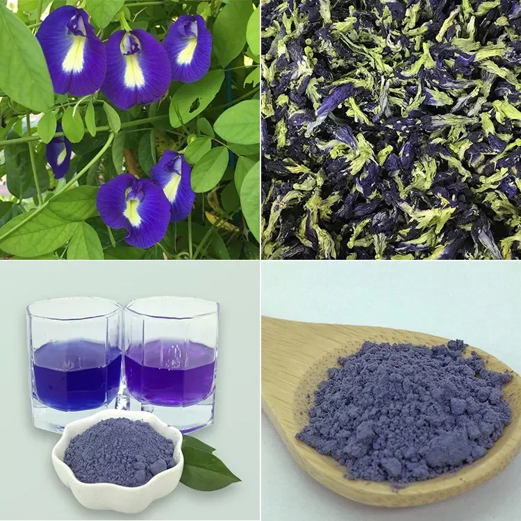 OEM Private Label 100% Pure Water Soluble Food Grade Blue Matcha Butterfly Pea Flower Powder