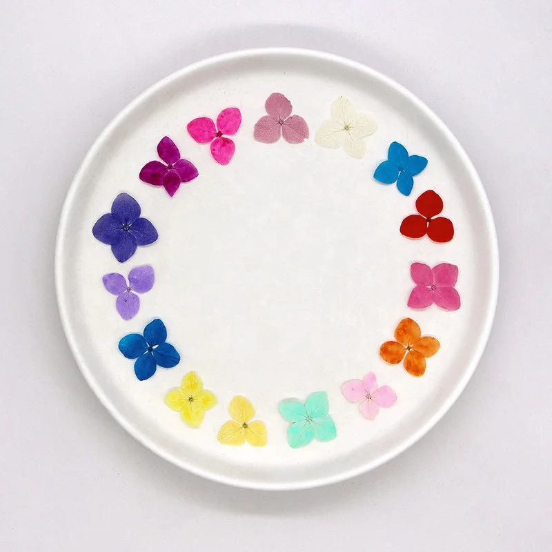 Wholesale Diy Handmade Nail Art Material dried flowers pressed Anna hydrangea flower for Bookmark and Phone case