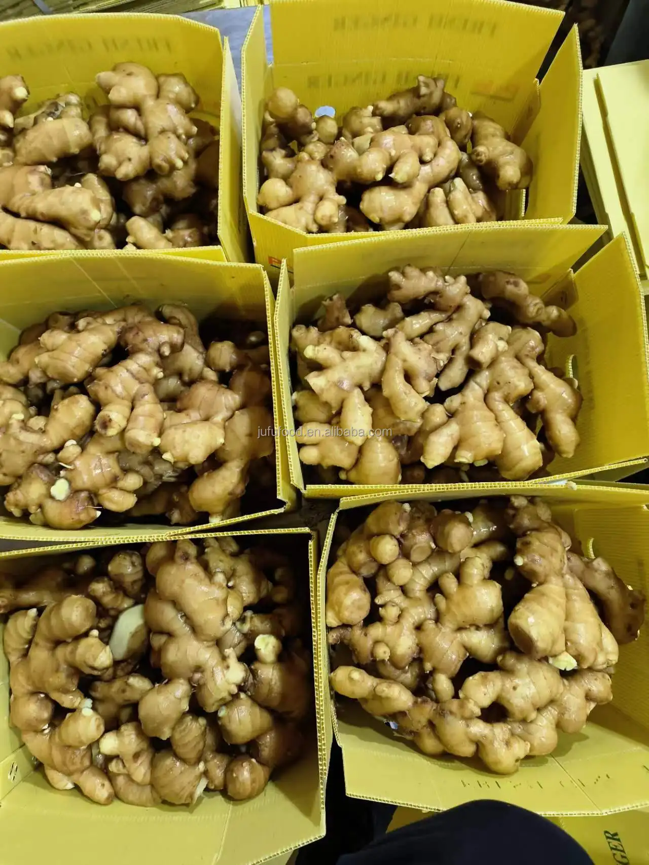 Good quality dried bulk fresh ginger market price per ton wholesale ginger buyers for buy dried ginger export from china