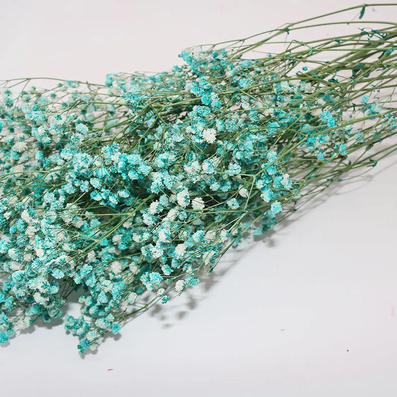  Домашний декор красивый красочный цветок babysbreath gysophila сохраненный гироскопиальный свадебное