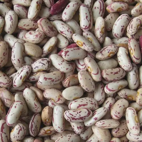 Немножечко крапчатые