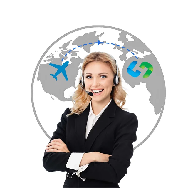 DHL FEDEX UPS TNT EMS Air Sea Express Экспедитор из Китая в США Великобритания Германия Канада Италия Нидерландские страны