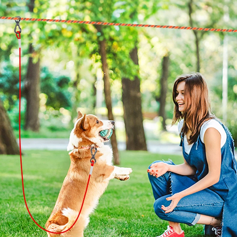 New Arrival Mini Digital Pet Accessories Collar Camera Dog Collars