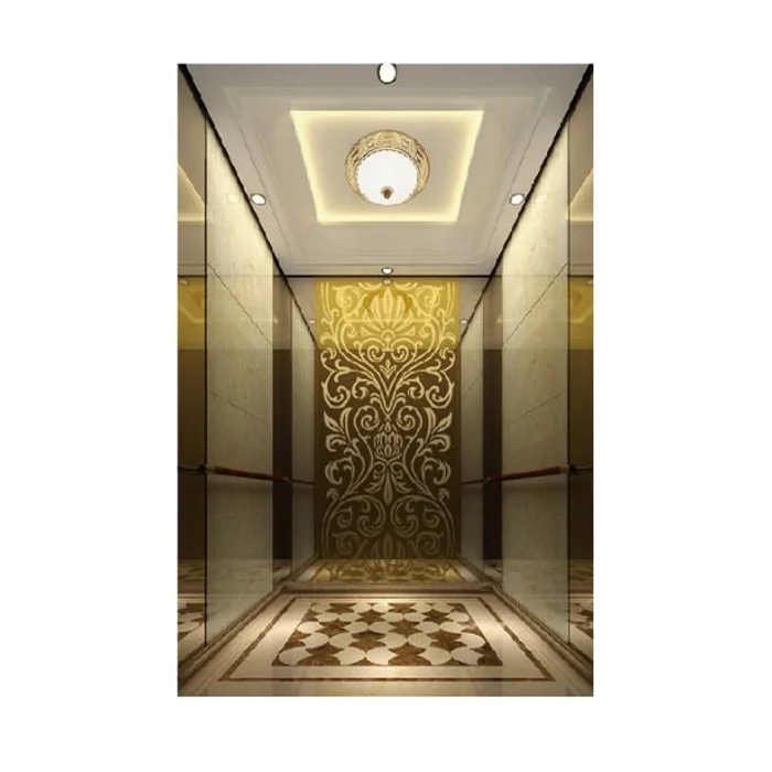 ZLE Residential Commercial Passenger Elevator Lift With High Speed Home Elevator villa elevator 6.0M/S For museum shopping mall