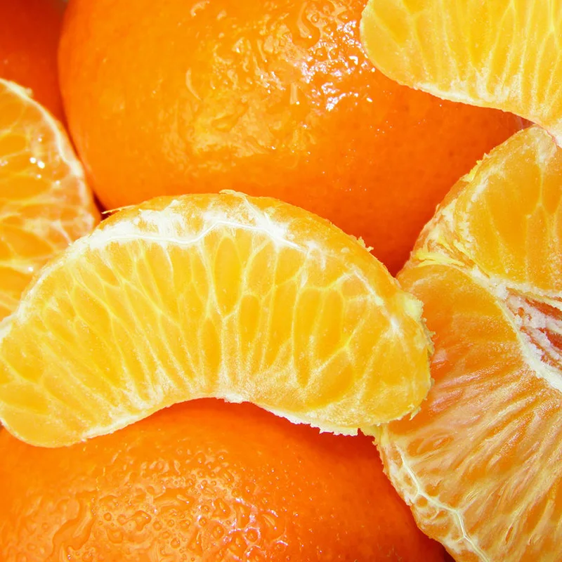 Fresh High Quality Sweet Tangerine Cheap Small Tangerine Citrus Orange Fruit