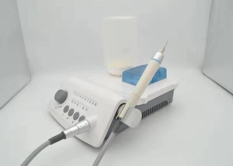 Vet Dental Ultrasonic Scaler Machine Electric Dental Calculus Remover Ultrasonic Tartar Remover For Teeth for animals