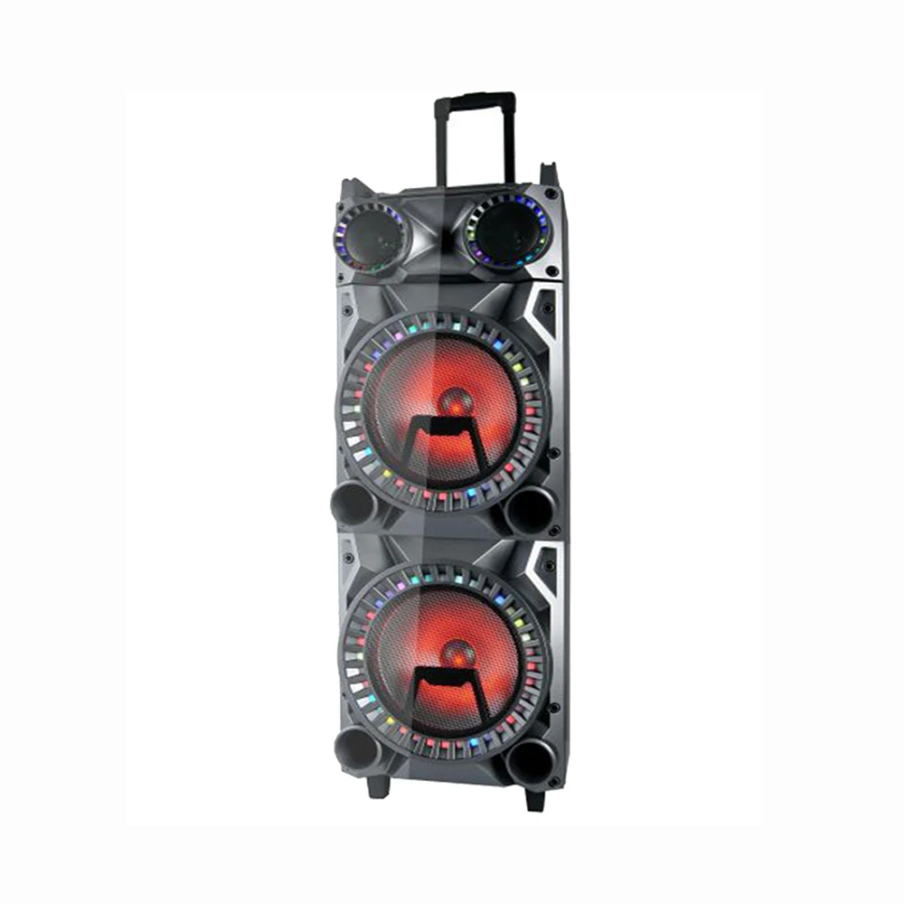 Big karaoke mic amplifier module active speaker with TWS DSP USB, SD, LED digital display
