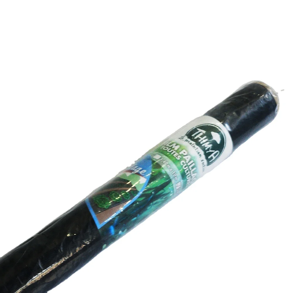 Bags Grapes Fruit Cover Protection Plastic Bag Anti UV Low Cost Wholesale for Vegetable 50mic in Stock Single Span Tunnel